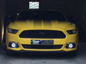 Cache plaque mapubauto