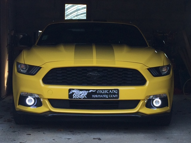 Cache plaque mapubauto